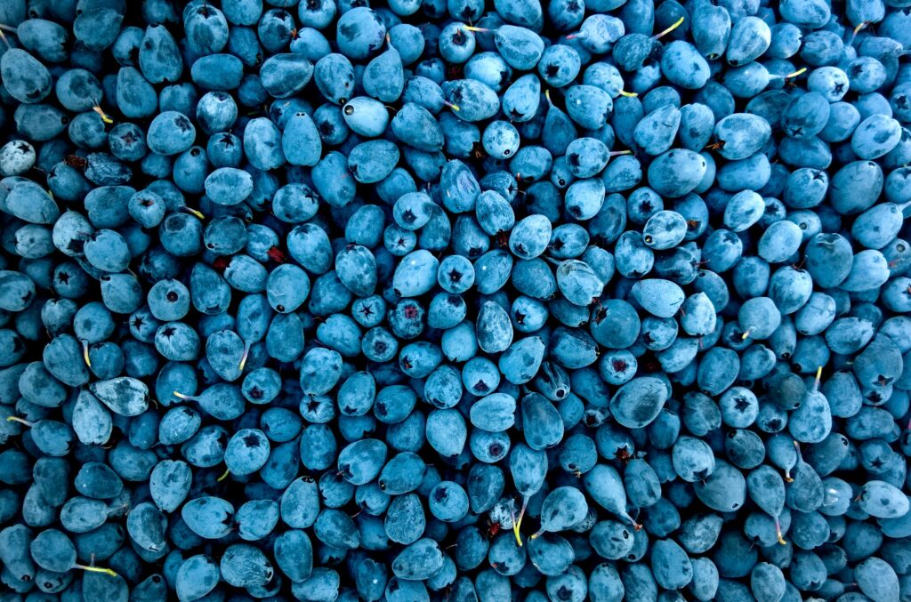 Wonders of Blue and Purple Foods